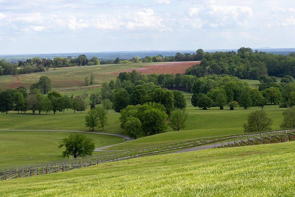 Land in Central Virginia