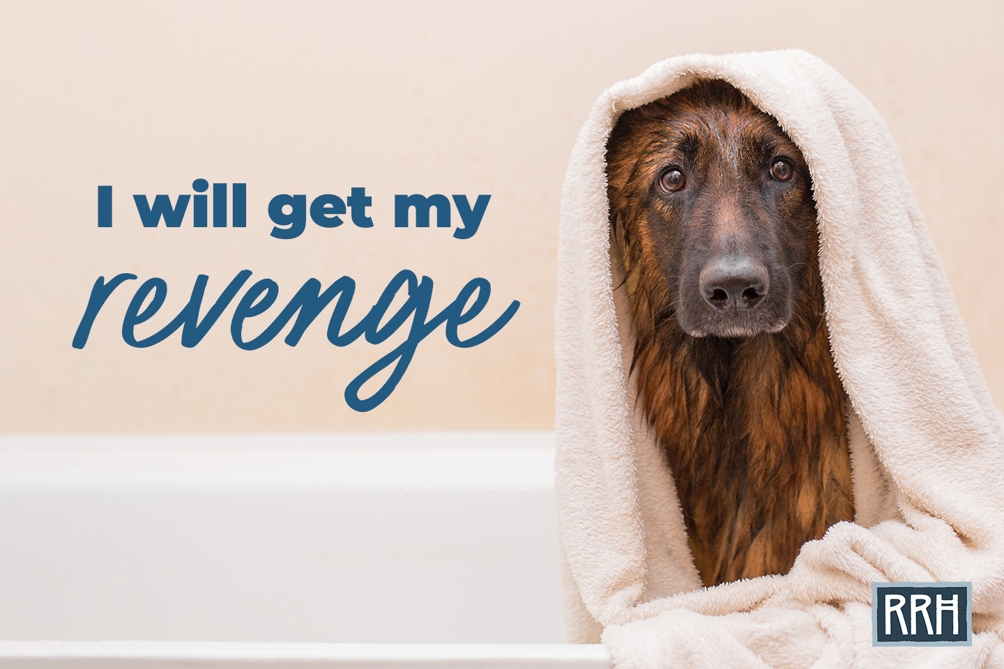 Dog in Tub saying 